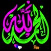 fatimma1919