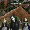 kaneshadyvr