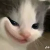 minhngoc9630