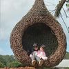 qunitasydney