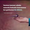samuahmed00