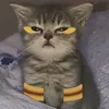 tazik003
