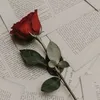 🌹