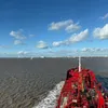 pilotshiptok