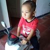 dianlestari0079