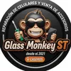 glassmonkeyst