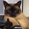 sonsoicodoc