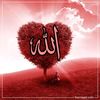 waqardahri06