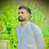 gulzarail81