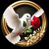 user4968231469310