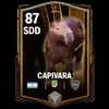 capivara290133