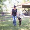 k9knockouts