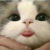 user9834012078480