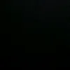 lysan.sprung77
