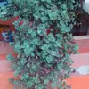 user5546318701856
