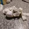 grazielladimarzo