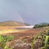 vidaltrinidad8