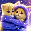 user8771617873866