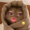 lia_lolluan