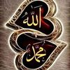 biryaniking81
