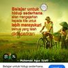 www.tiktokhumaera
