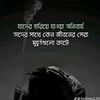 feni_88822