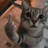 cumiiiiil0