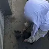 aafghan_sarah