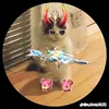 lionelkai014