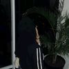 kaylazulfa_346