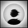 khang_duy07