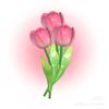 peony.flowersss