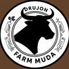 drujonfarmmudaa