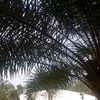 user5237515939035