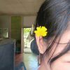ye.lin.htike907