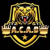acaba12137