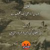 tauseeftauseef634