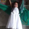 zisnna_ailexys