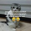 aisyah77113