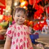Nhà Cam Đấy 🍊