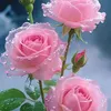 be.minh09
