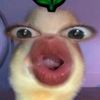 user541021340755