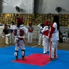 teakwondo_attackers