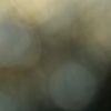 yulaanda5677