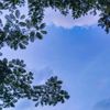 middleofjune___