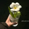 anh_ha3001