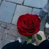 user1004011405906