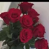 user855794654614070