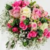 aseel0430