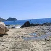 carloataldi5